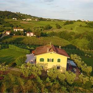 Villa for Sale in Montecarlo