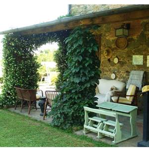 Villa for Sale in Massa e Cozzile
