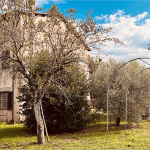 Part de maison Dans Vente à Capannori