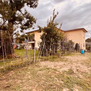 Villa Bifamiliare Dans Vente à Capannori