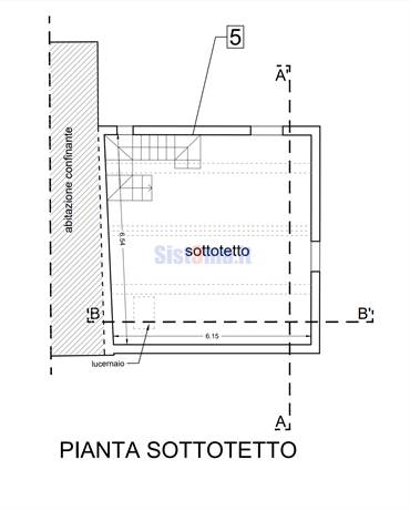 Pianta sottotetto