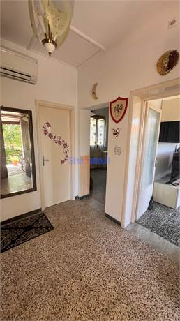 Ingresso