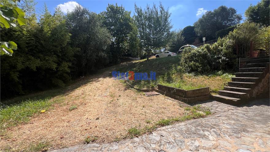 Scesa auto e giardino