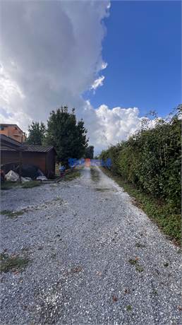 Photo 33