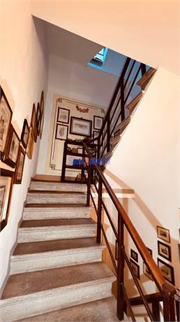 Photo 38