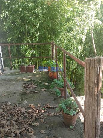 Photo 34