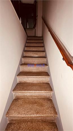 Sclae