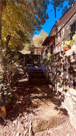 Photo 60
