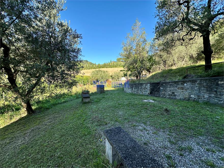 Giardino privato 