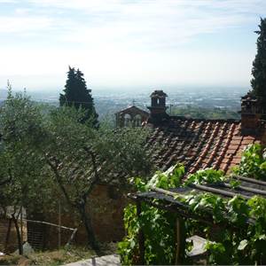 House of Character for Sale in Capannori