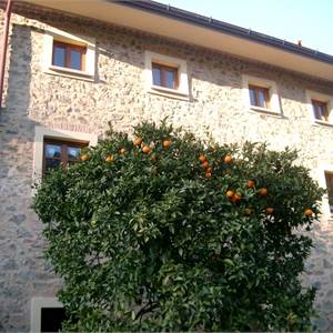 House of Character for Sale in Massarosa
