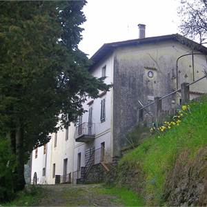 House of Character for Sale in Lucca